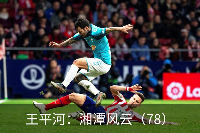 王平河：湘潭风云（7/8）
