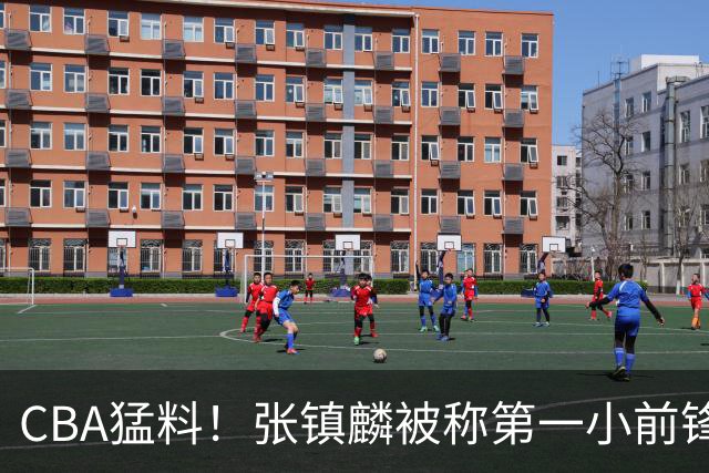 CBA猛料！张镇麟被称第一小前锋，麦基比赛态度变好，拉塞尔伤病出炉
